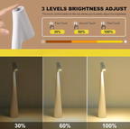 Wireless LED Table Lamp with Touch Dimming Function