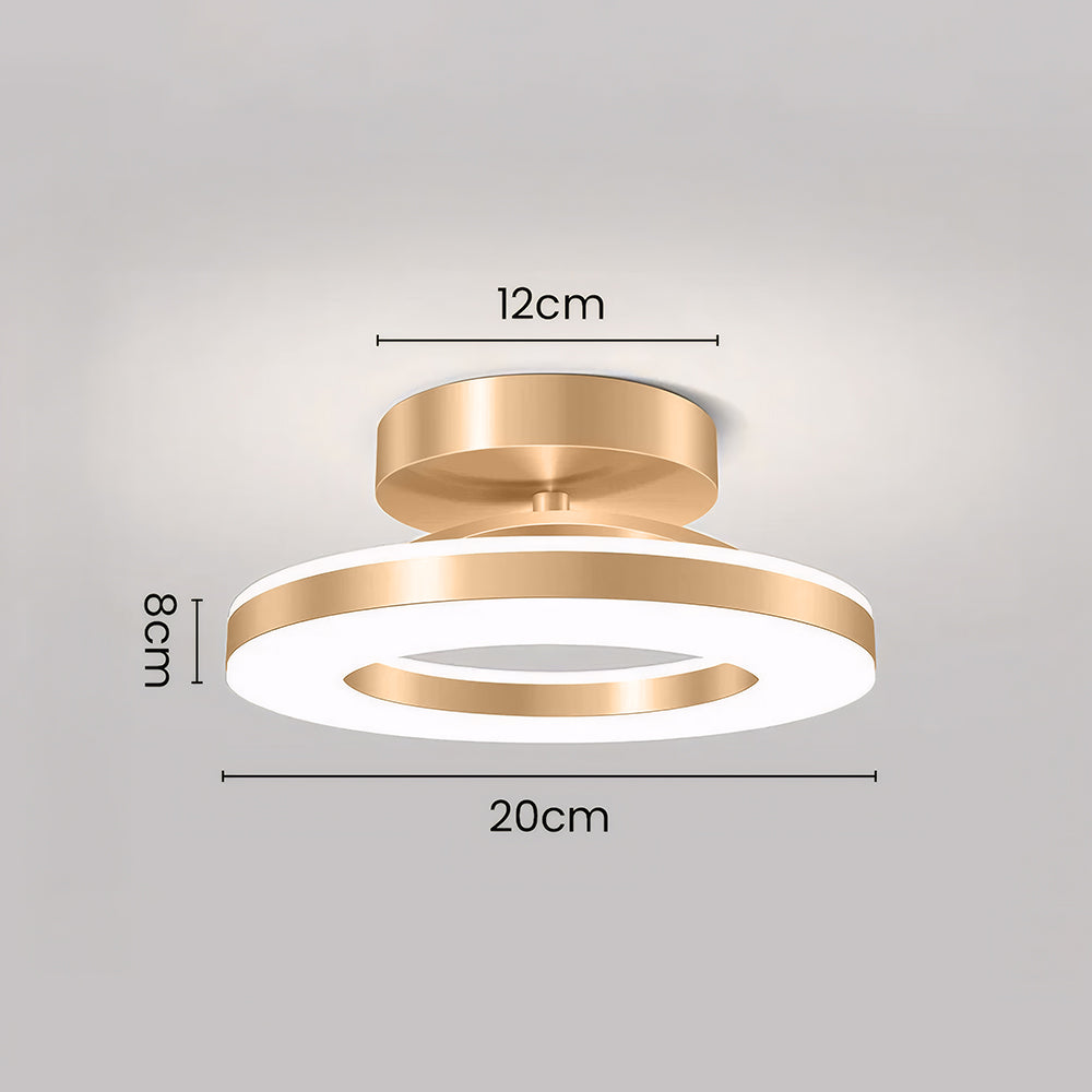 Elegant Modern Flush Mount Ceiling Light - Gold Iron LED Fixture