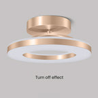 Elegant Modern Flush Mount Ceiling Light - Gold Iron LED Fixture