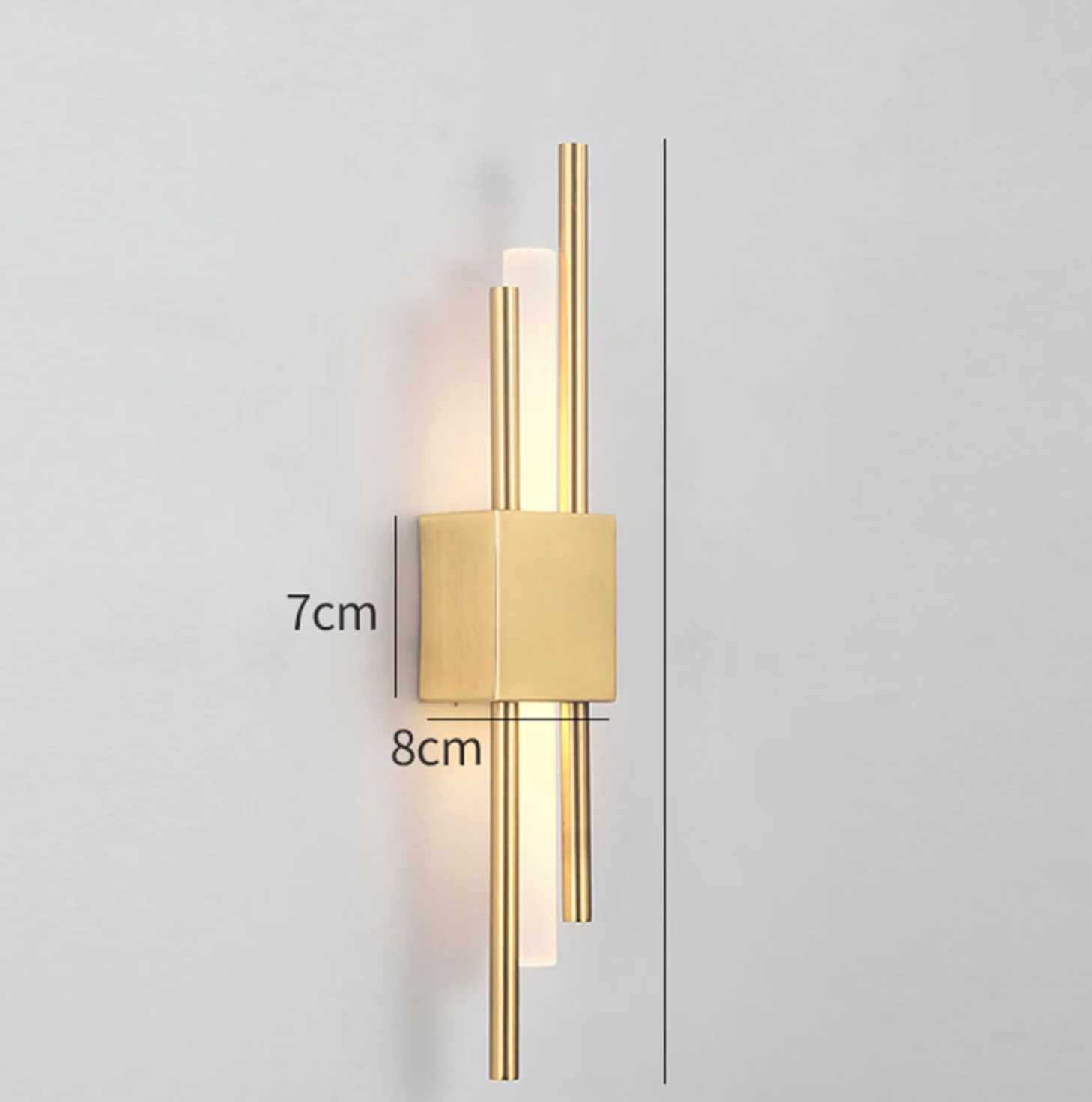 Elegant Black and Gold Wall Sconce Lighting Fixture