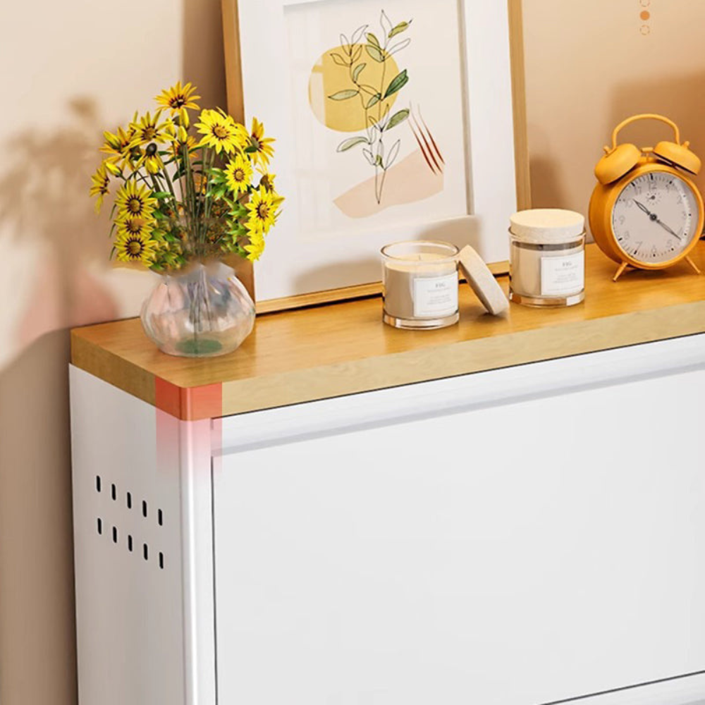 Modern Minimalist Shoe Storage Cabinet - Slim Steel Organizer with Drawers