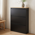 Modern Minimalist Shoe Storage Cabinet - Slim Steel Organizer with Drawers