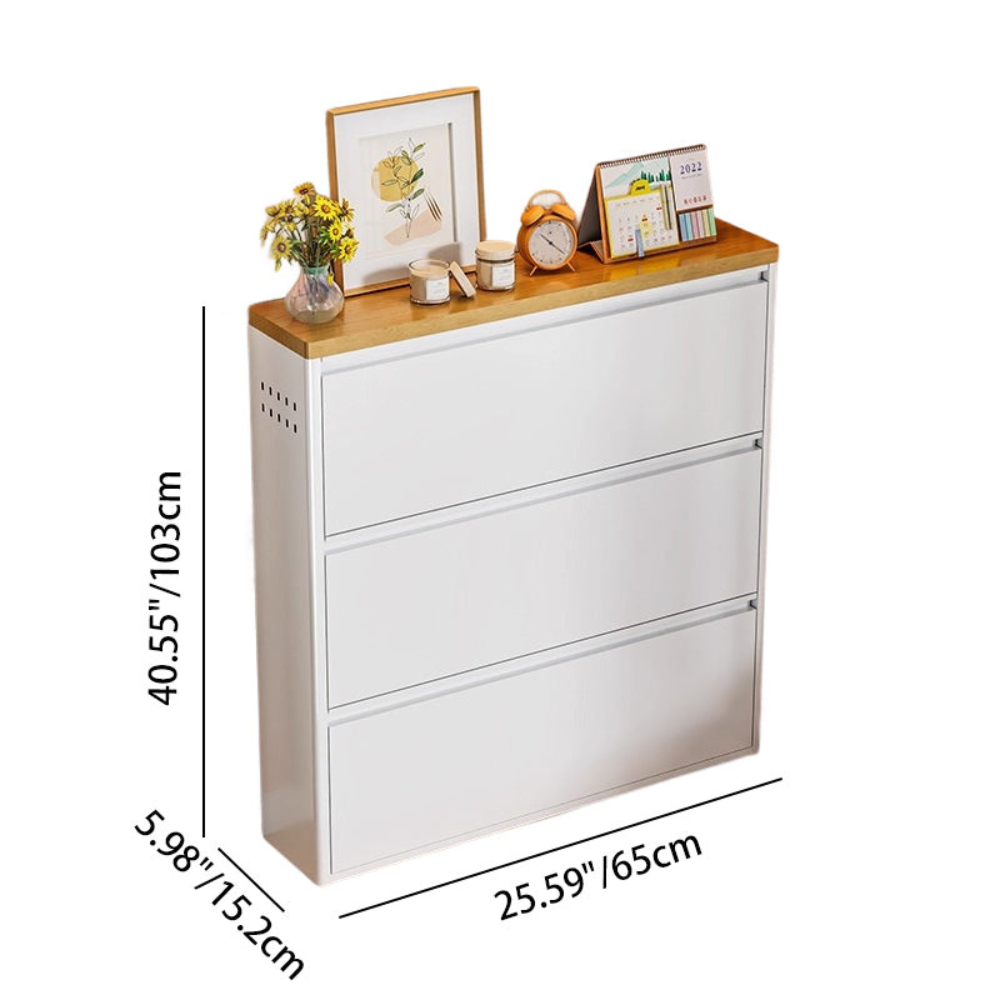 Modern Minimalist Shoe Storage Cabinet - Slim Steel Organizer with Drawers