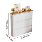 Modern Minimalist Shoe Storage Cabinet - Slim Steel Organizer with Drawers
