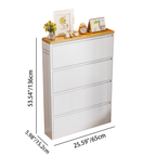 Modern Minimalist Shoe Storage Cabinet - Slim Steel Organizer with Drawers