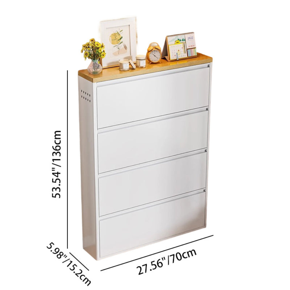 Modern Minimalist Shoe Storage Cabinet - Slim Steel Organizer with Drawers