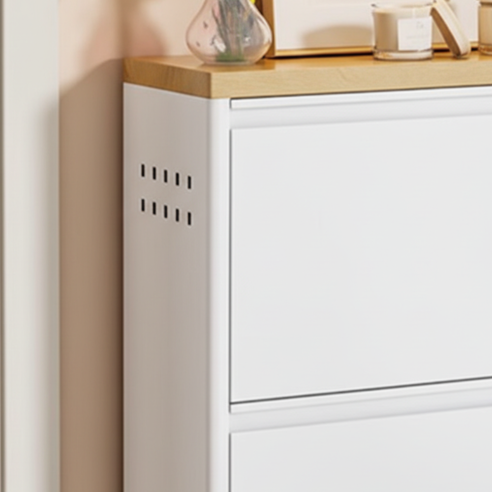 Modern Minimalist Shoe Storage Cabinet - Slim Steel Organizer with Drawers